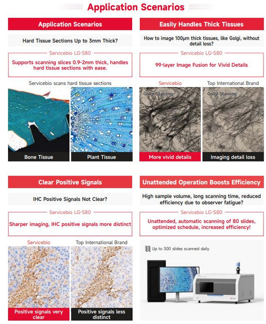 Thiết bị quét tiêu bản GPB - Digital Pathology Slide Scanner