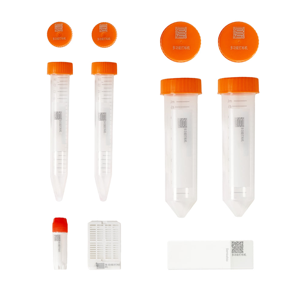 LASER MARKING SYSTEM - HỆ THỐNG IN LASER