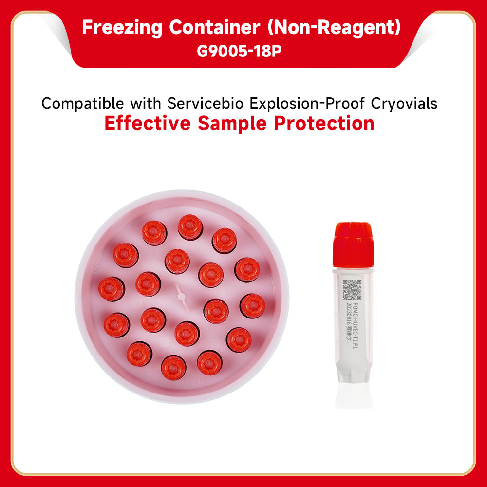 Freezing Container - Hộp chứa vial âm sâu (không chứa thuốc thử)