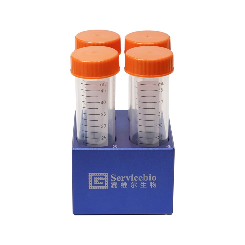 Metal Coolbox - Rack giữ lạnh