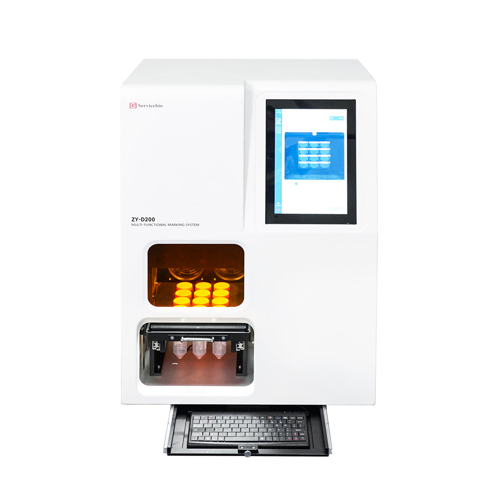 LASER MARKING SYSTEM - HỆ THỐNG IN LASER